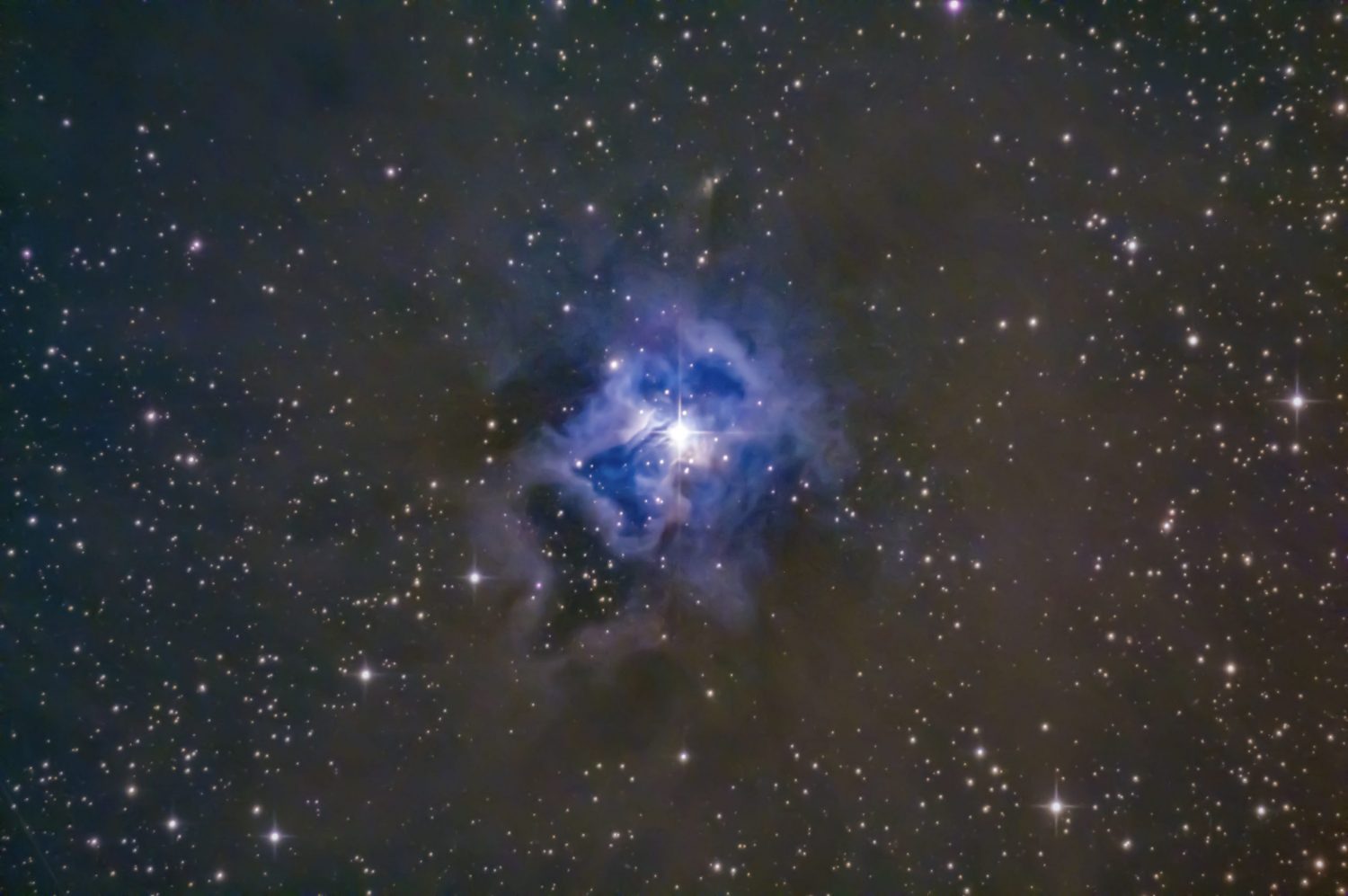 NGC 7023 - Iris Nebula